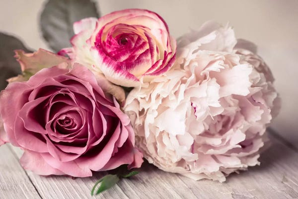 Large Photography - Canvas Prints: Bouquet by Symposium Design