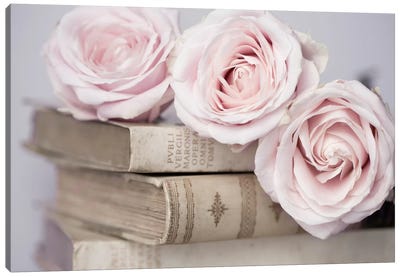 Vintage Roses Canvas Art Print - Scenic & Nature Photography