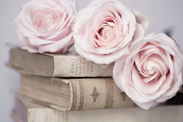 Large Photography - Canvas Prints: Vintage Roses by Symposium Design