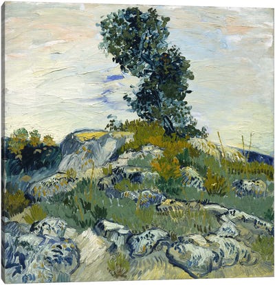 The Rocks Canvas Art Print - Vincent van Gogh