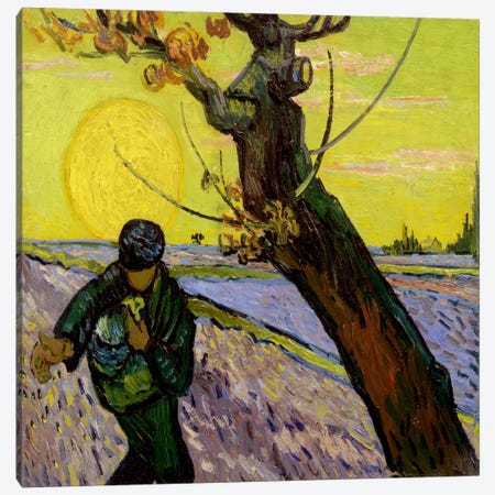The Sower Canvas Print #14253} by Vincent van Gogh Canvas Art