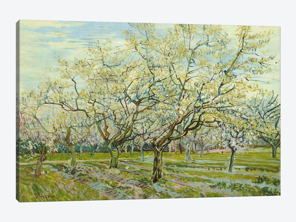 The White Orchard Canvas Art by Vincent van Gogh | iCanvas
