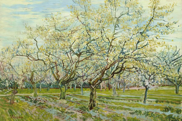 All Things Van Gogh: The White Orchard by Vincent van Gogh