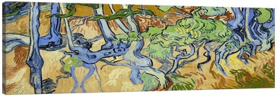 Tree-Roots Canvas Art Print - Post-Impressionism Art