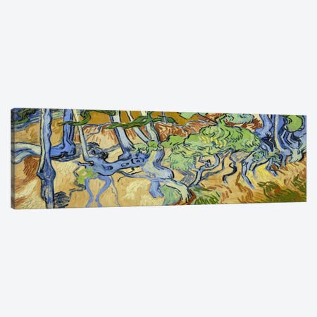 Tree-Roots Canvas Print #14256} by Vincent van Gogh Canvas Print