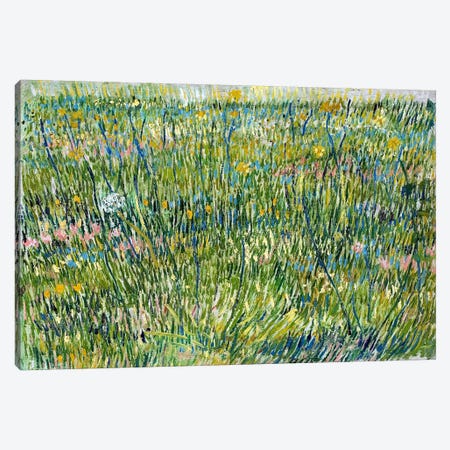 Patch of Grass Canvas Print #14287} by Vincent van Gogh Canvas Artwork