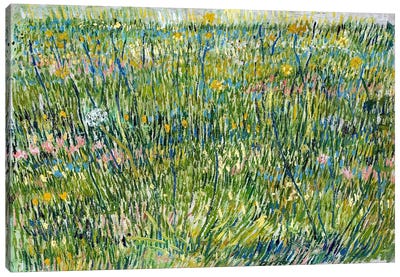 Patch of Grass Canvas Art Print - Celery