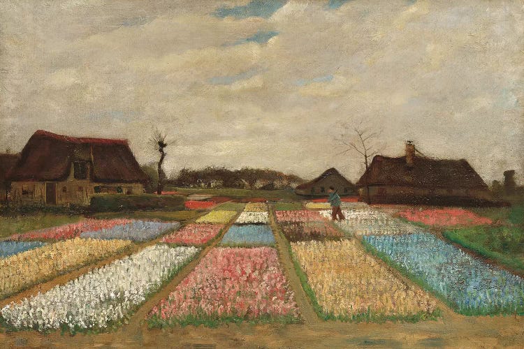 Tulpenfelder (Tulip Fields)