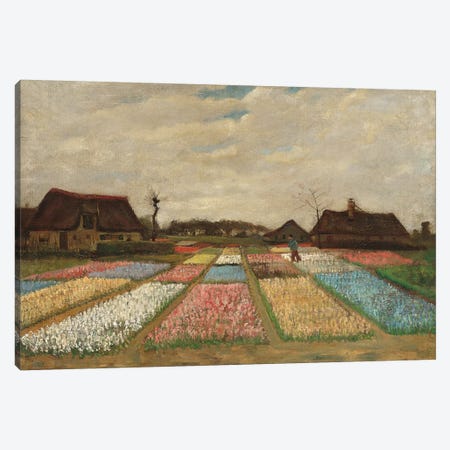 Tulpenfelder (Tulip Fields) Canvas Print #14305} by Vincent van Gogh Art Print