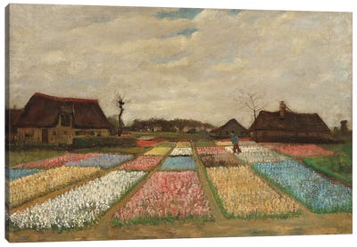 Tulpenfelder (Tulip Fields) Canvas Art Print - Vincent van Gogh