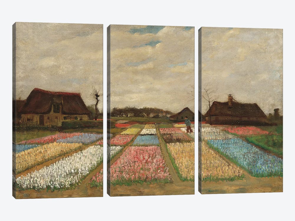 Tulpenfelder (Tulip Fields) 3-piece Canvas Art Print