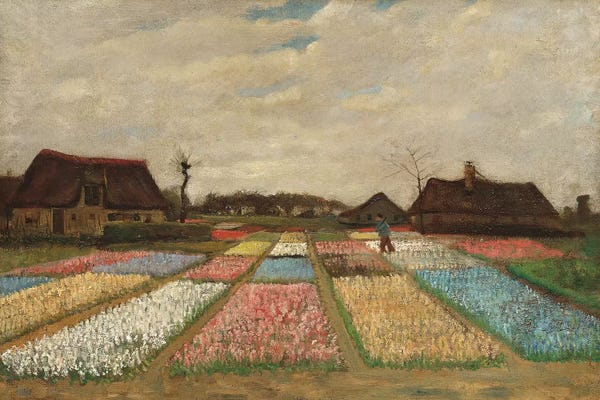 Villages & Towns: Tulpenfelder (Tulip Fields) by Vincent van Gogh