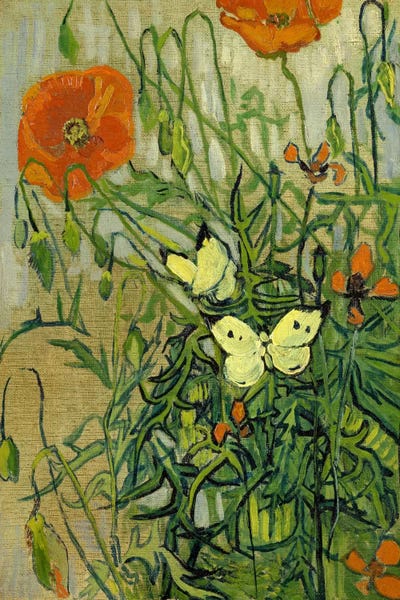 Butterflies And Poppies Canvas Wall Art By Vincent Van Gogh ICanvas   14327