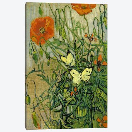 Butterflies and Poppies Canvas Print #14327} by Vincent van Gogh Canvas Art Print