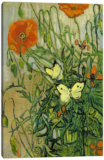 Butterflies and Poppies Canvas Art Print - Post-Impressionism Art