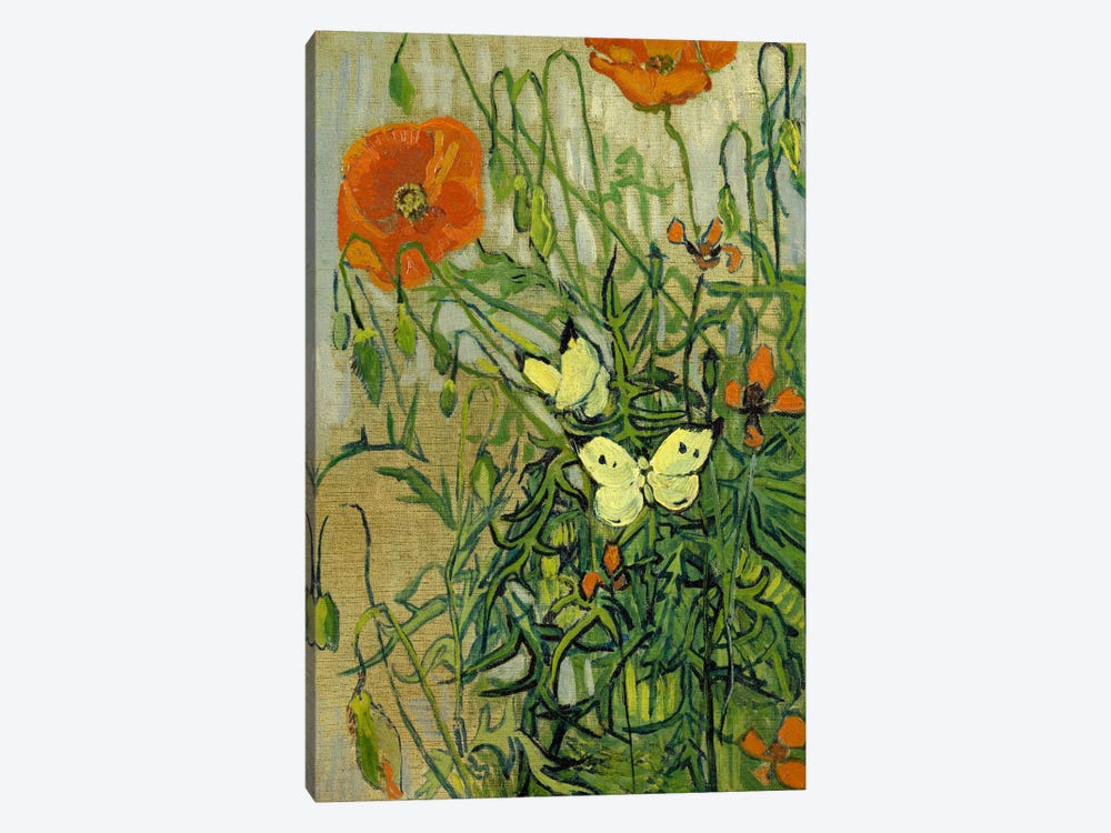 Butterflies and Poppies by Vincent van Gogh 1-piece Art Print
