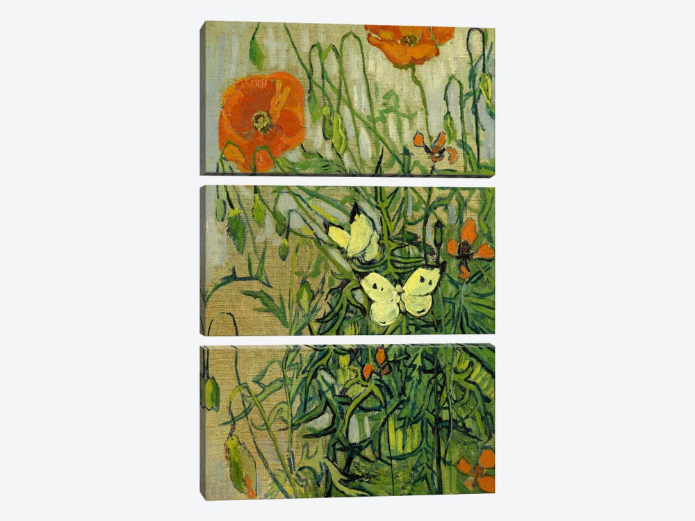 Butterflies and Poppies by Vincent van Gogh 3-piece Canvas Art Print