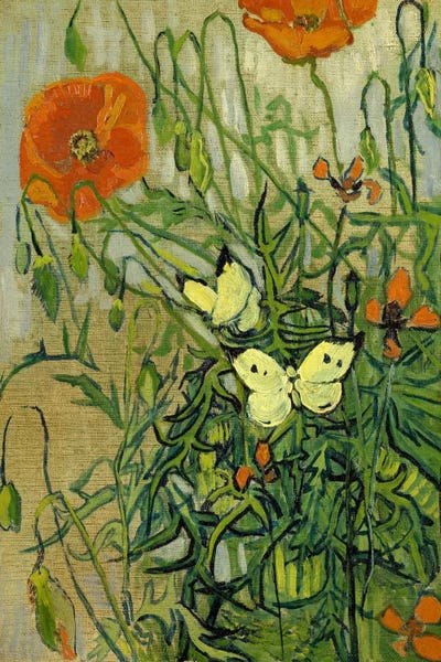 Large Art for Bedroom - Canvas Prints: Butterflies and Poppies by Vincent van Gogh