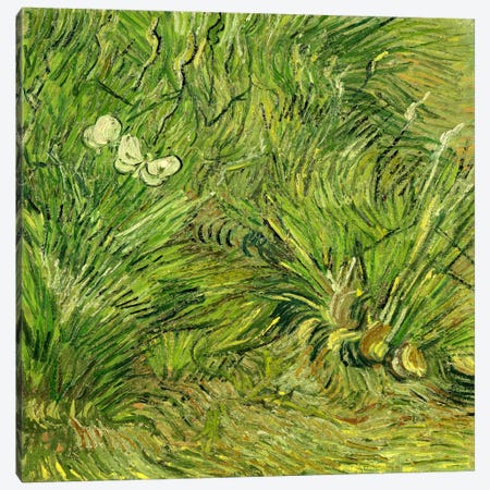 Two White Butterflies Canvas Print #14342} by Vincent van Gogh Canvas Art