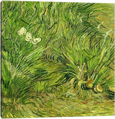 Two White Butterflies Canvas Art Print - Vincent van Gogh