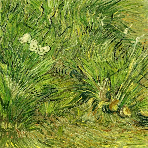 Post-Impressionism: Two White Butterflies by Vincent van Gogh
