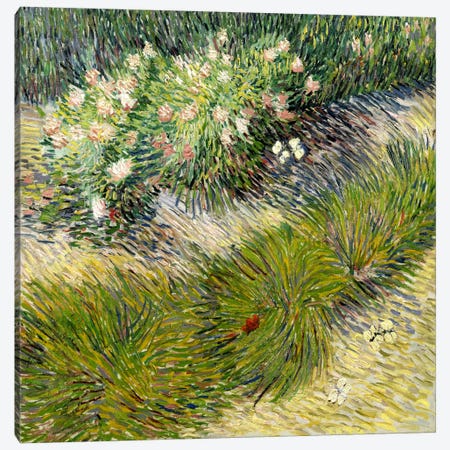 Grass & Butterflies Canvas Print #14344} by Vincent van Gogh Canvas Print