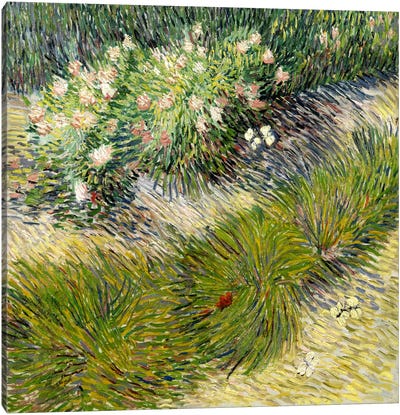 Grass & Butterflies Canvas Art Print - Post-Impressionism Art