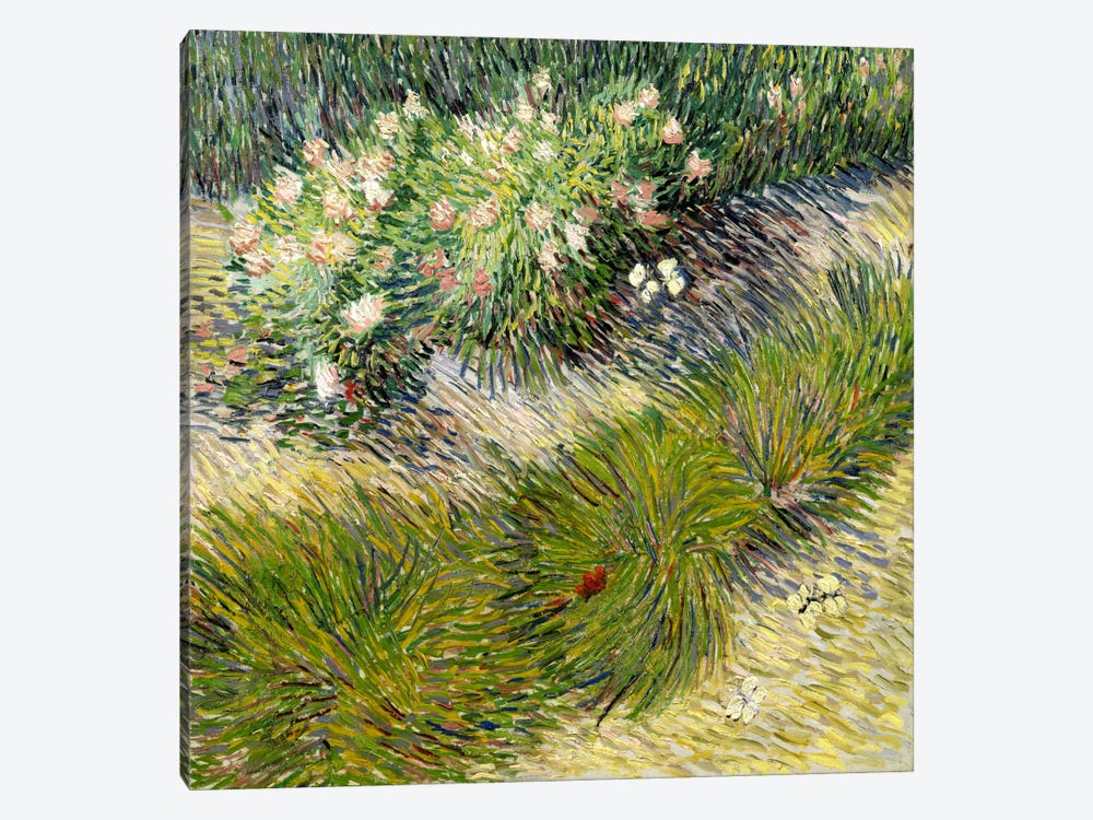 Grass & Butterflies by Vincent van Gogh 1-piece Canvas Wall Art