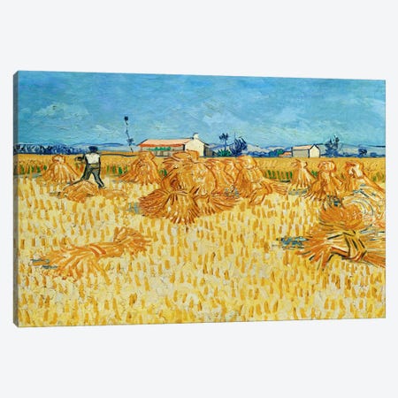 Harvest in Provence Canvas Print #14345} by Vincent van Gogh Canvas Art Print