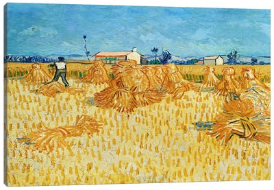 Harvest in Provence Canvas Art Print - Blue & Yellow Art