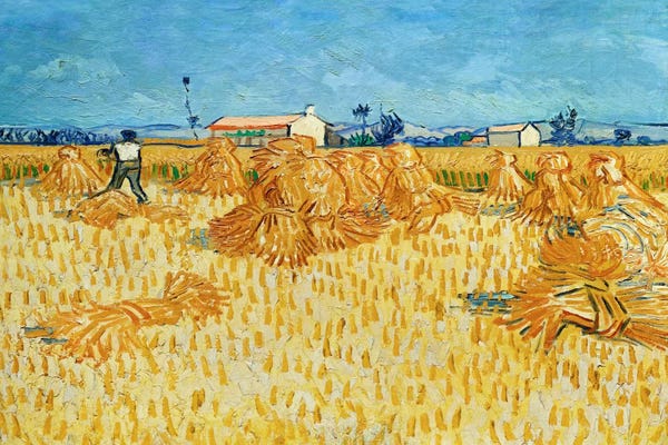 All Things Van Gogh: Harvest in Provence by Vincent van Gogh