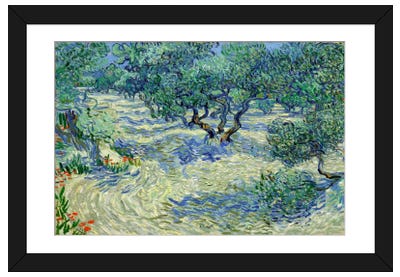 Olive Orchard Paper Art Print - Best Selling Paper