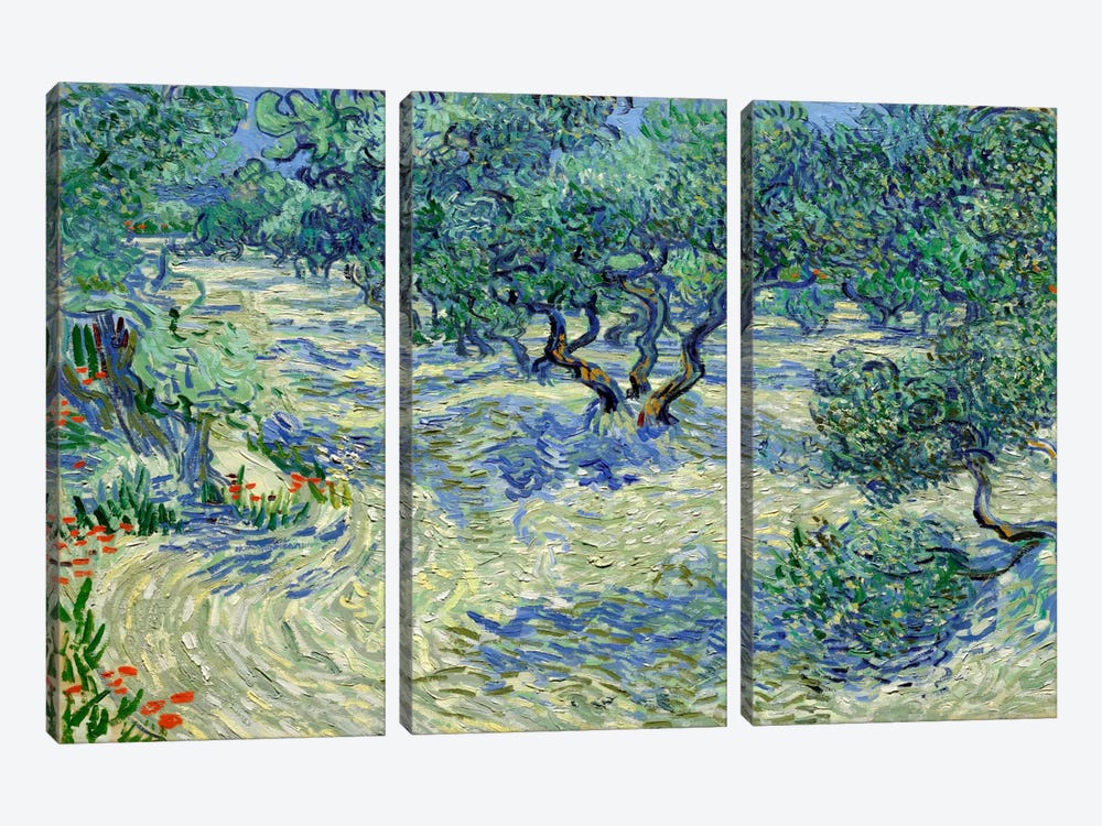 Olive Orchard by Vincent van Gogh 3-piece Canvas Art Print