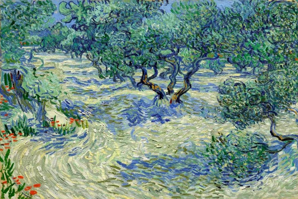 Museum Classics & More: Olive Orchard by Vincent van Gogh
