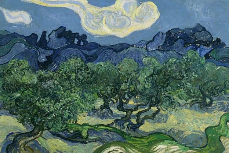 Olive Trees with the Alpilles in the Background by Vincent van Gogh wall art