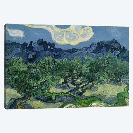 Olive Trees with the Alpilles in the Background Canvas Print #14370} by Vincent van Gogh Canvas Print