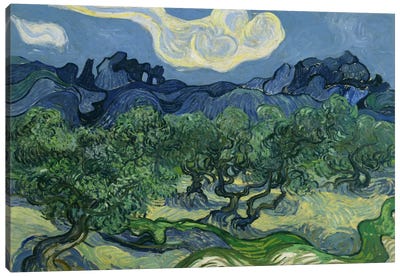 Olive Trees with the Alpilles in the Background Canvas Art Print - All Things Van Gogh