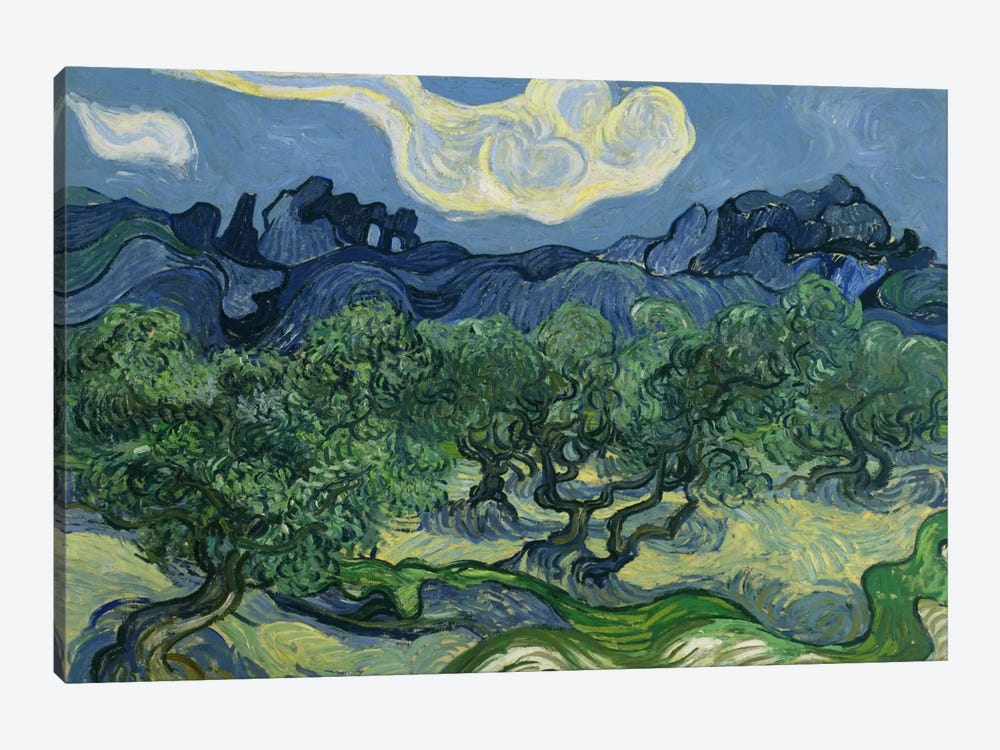 Olive Trees with the Alpilles in the Background by Vincent van Gogh 1-piece Canvas Art Print
