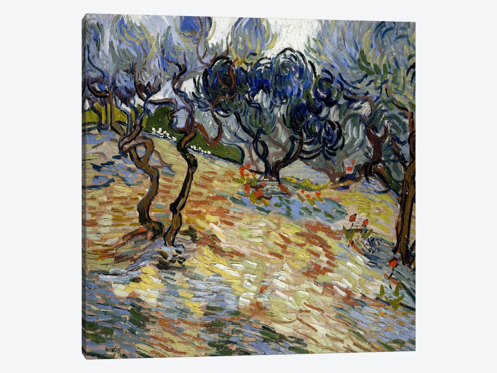 Olive Trees by Vincent van Gogh 1-piece Canvas Wall Art