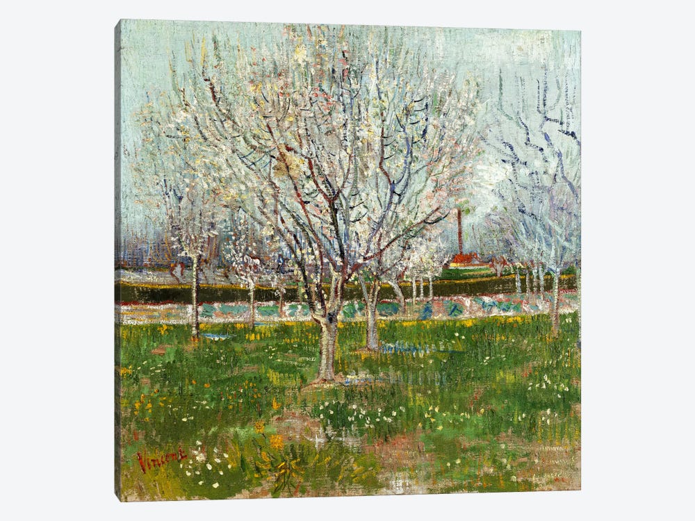 Orchard in Blossom (Plum Trees) by Vincent van Gogh 1-piece Canvas Print