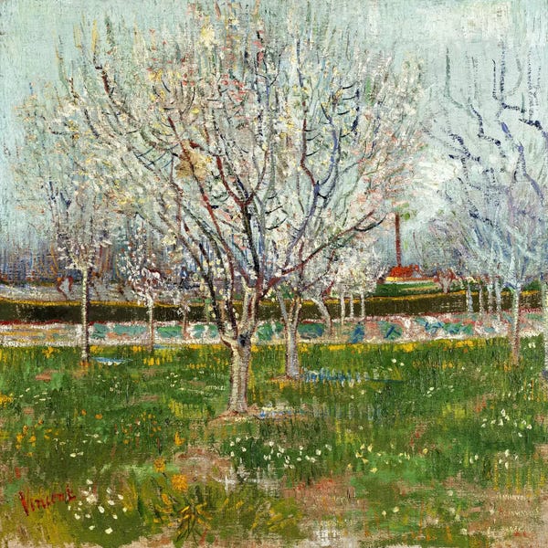 Post-Impressionism: Orchard in Blossom (Plum Trees) by Vincent van Gogh
