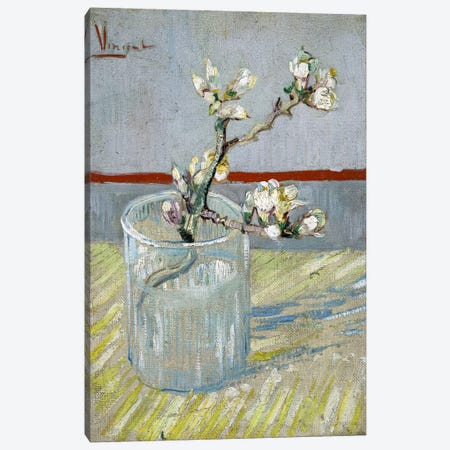 Sprint of Flowering Almond Blossom in a Glass Canvas Print #14392} by Vincent van Gogh Art Print