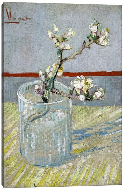 Sprint of Flowering Almond Blossom in a Glass Canvas Art Print - Botanical Still Life