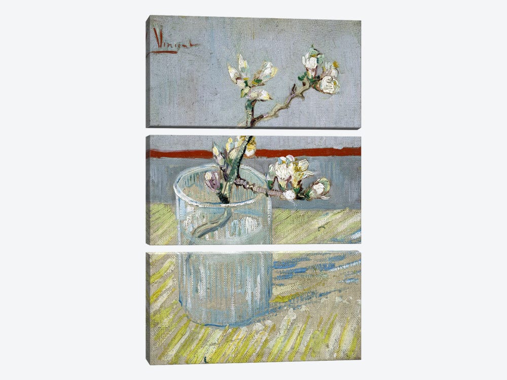 Sprint of Flowering Almond Blossom in a Glass 3-piece Canvas Art Print