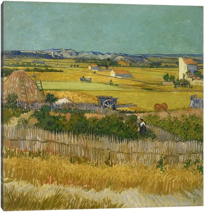 The Harvest Canvas Art Print - Field, Grassland & Meadow Art