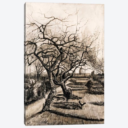 The Parsonage Garden at Nuenen in Winter Canvas Print #14411} by Vincent van Gogh Canvas Art