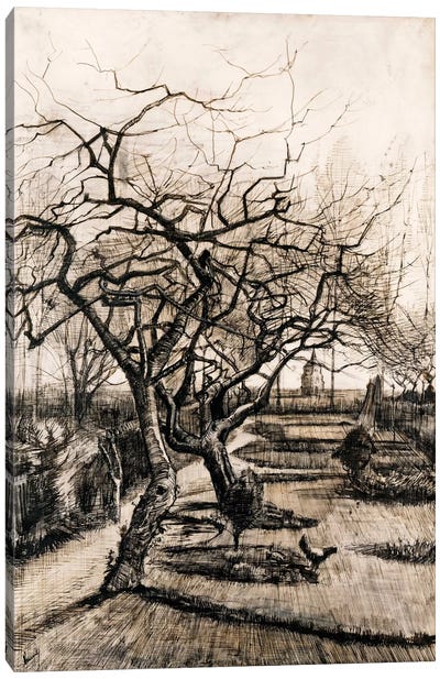 The Parsonage Garden at Nuenen in Winter Canvas Art Print - Vincent van Gogh