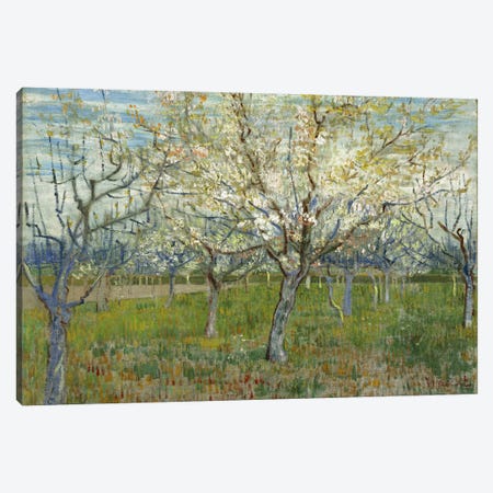 The Pink Orchard Canvas Print #14412} by Vincent van Gogh Canvas Art