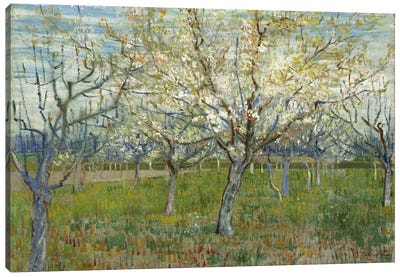 The Pink Orchard Canvas Art Print - Field, Grassland & Meadow Art