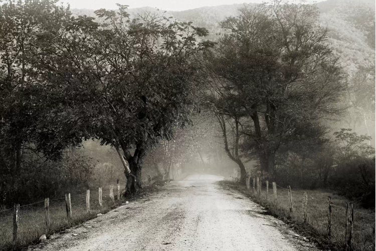 Sparks Lane by Nicholas Bell Photography wall art